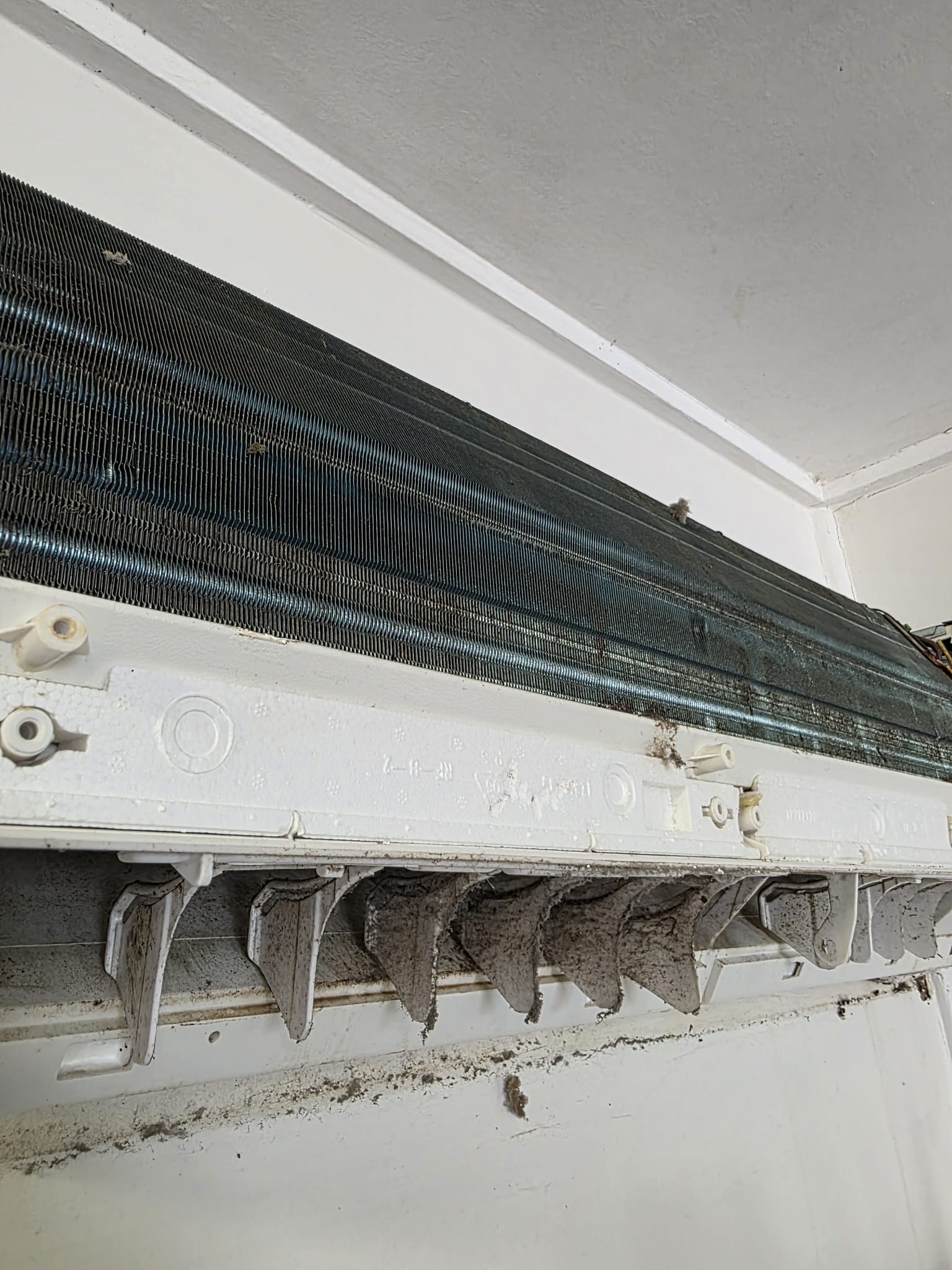 Breathe Better Indoors - Image 1